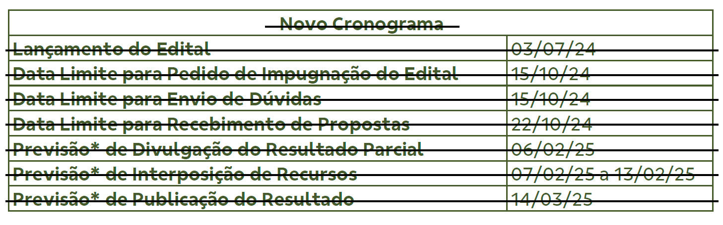 Novo Cronograma 2 riscado