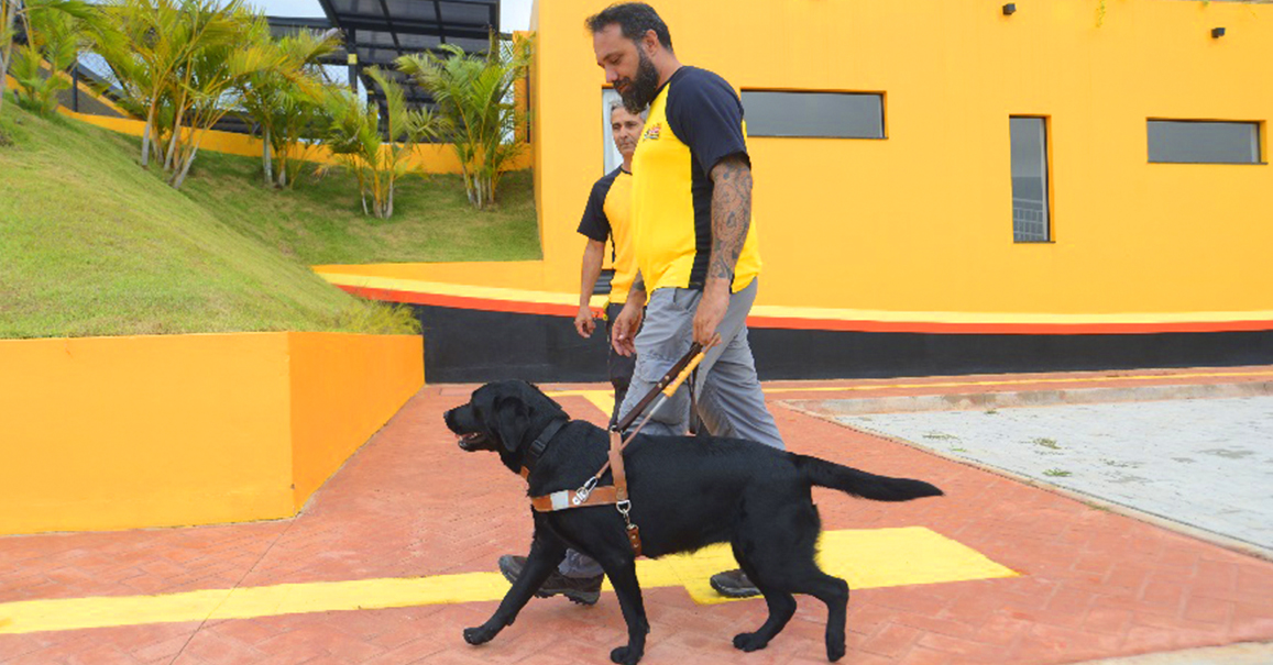 Portal Interna Magnus